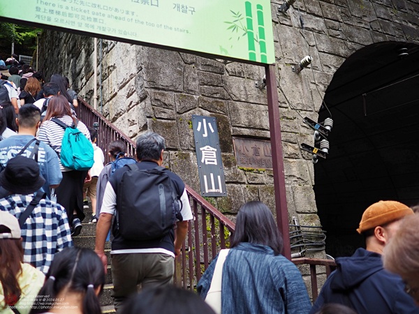 P5270115_縮.JPG